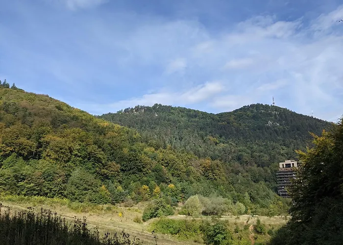Tampa Mountain Nature Hideaway - Luxury Rentals